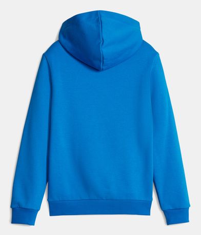 Puma Ess- 2 Col Big Logo Hoodie (586987 48)