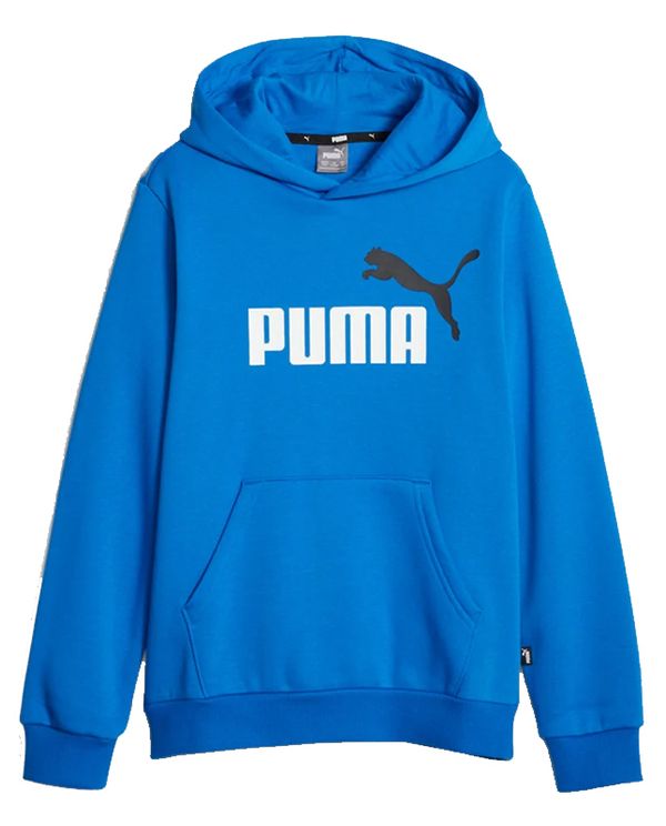 Puma Ess- 2 Col Big Logo Hoodie (586987 48)