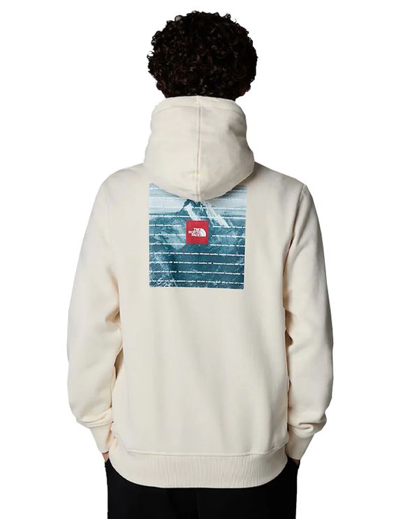 The North Face M Expedition System Graphic Hoodie Ανδρικό (NF0A89DEQLI1)